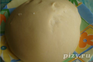 Рецепт дрожжевого теста из хлебопечки (LG) для пиццы